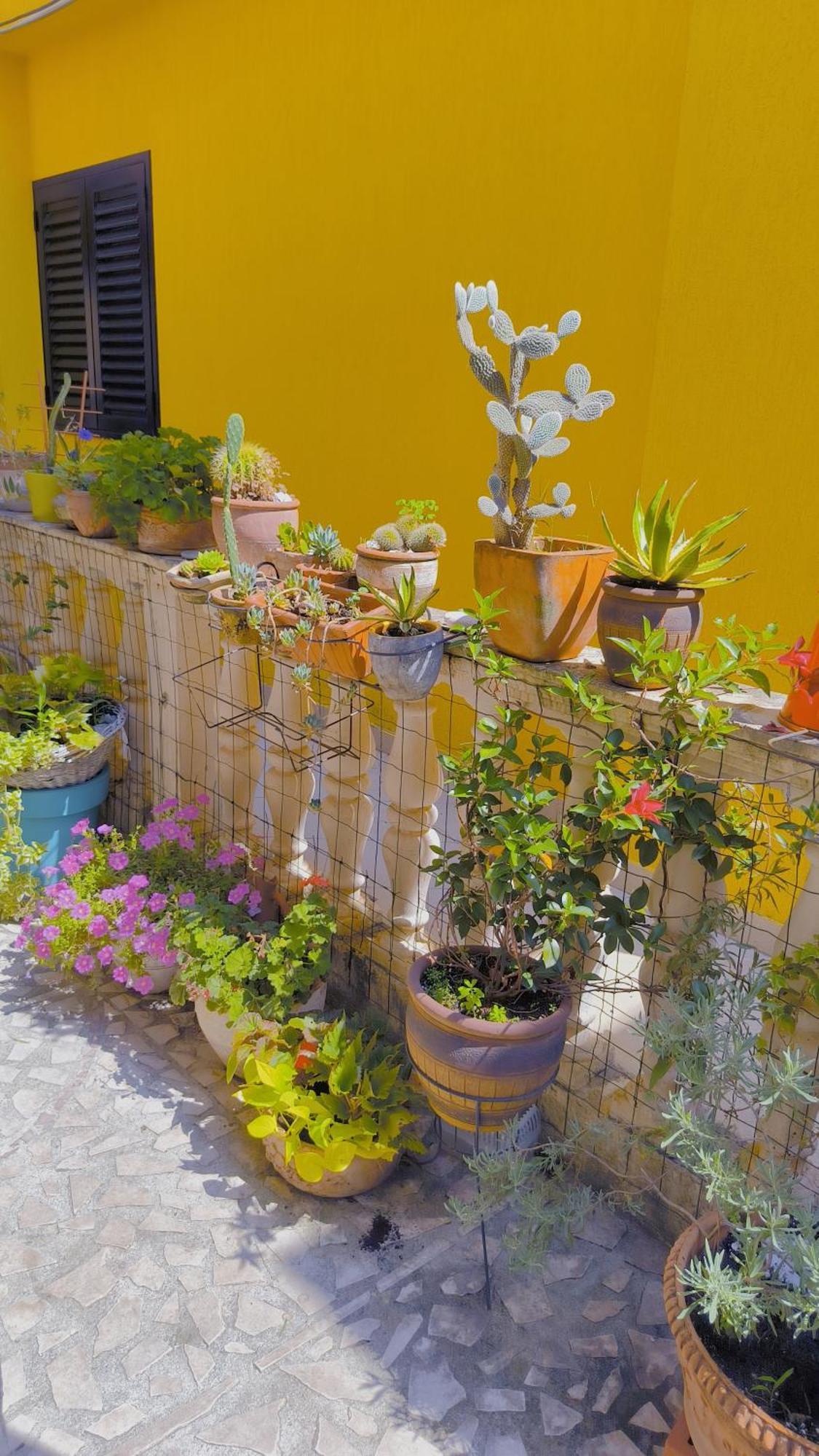 Apartament - Lisa بودفا المظهر الخارجي الصورة