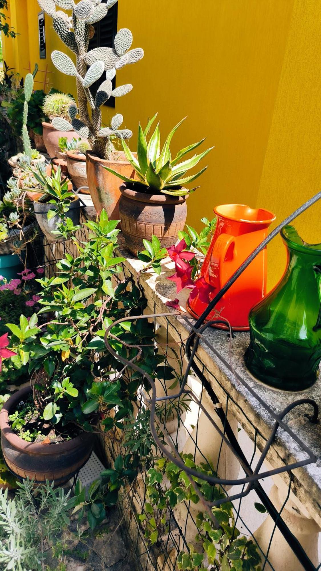 Apartament - Lisa بودفا المظهر الخارجي الصورة